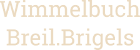 Wimmelbuch Breil.Brigels